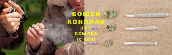 стаф Волосово