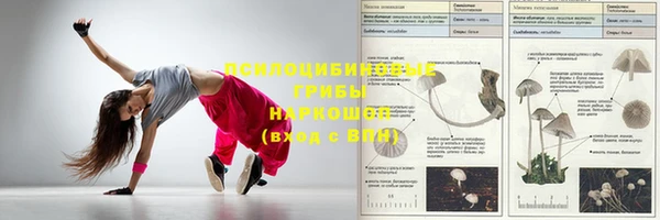 стаф Волосово