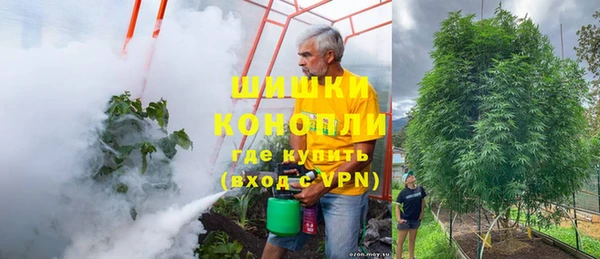 стаф Волосово